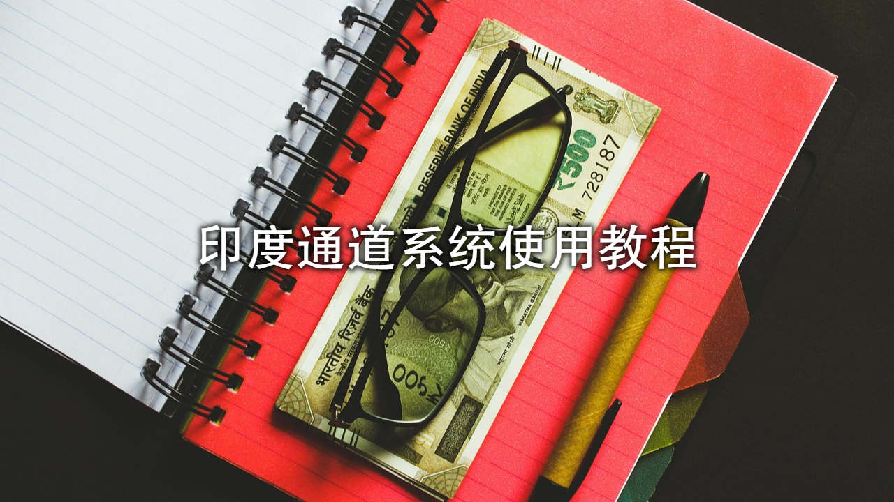 印度支付系统：通道系统