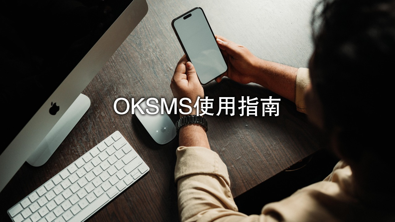 印度支付系统：OKSMS使用指南